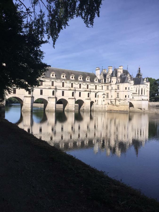 Villa Au Coeur De La Cour Saint-Georges-sur-Cher Exterior foto